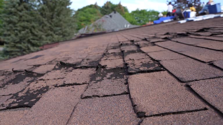 Best Roof Moss and Algae Removal  in Deming, NM