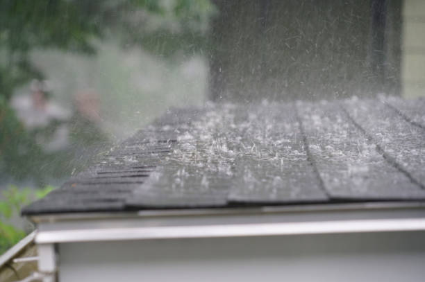 Roof Coating Services in Deming, NM
