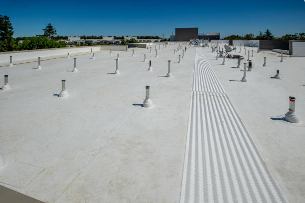 Best Flat Roofing  in Deming, NM